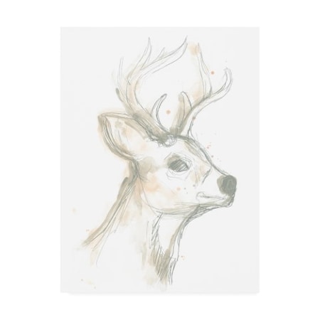 TRADEMARK FINE ART June Erica Vess 'Deer Cameo Iv' Canvas Art, 14x19 WAG13500-C1419GG